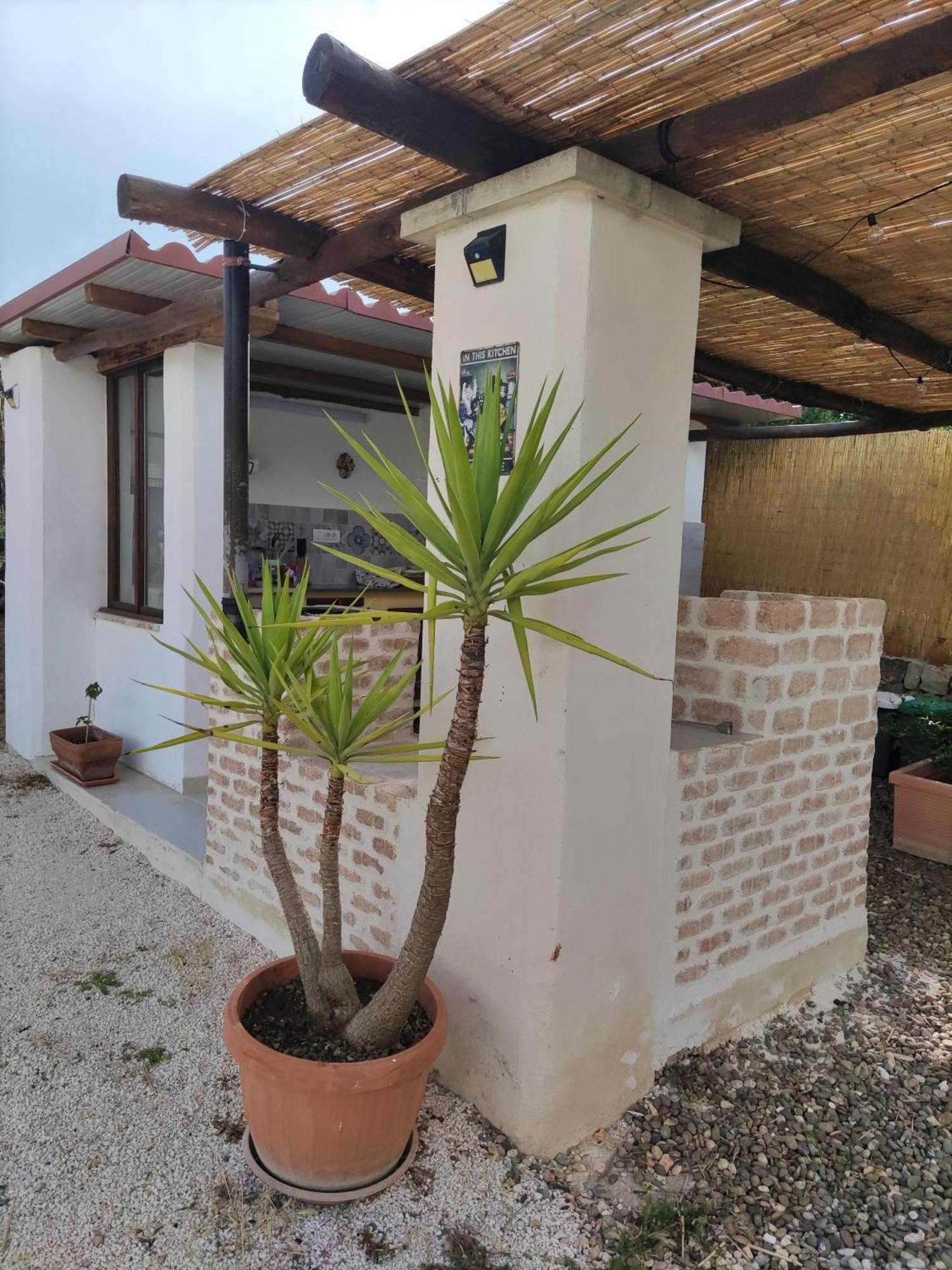 Villa Giulia B&B Castellana Grotte Ngoại thất bức ảnh
