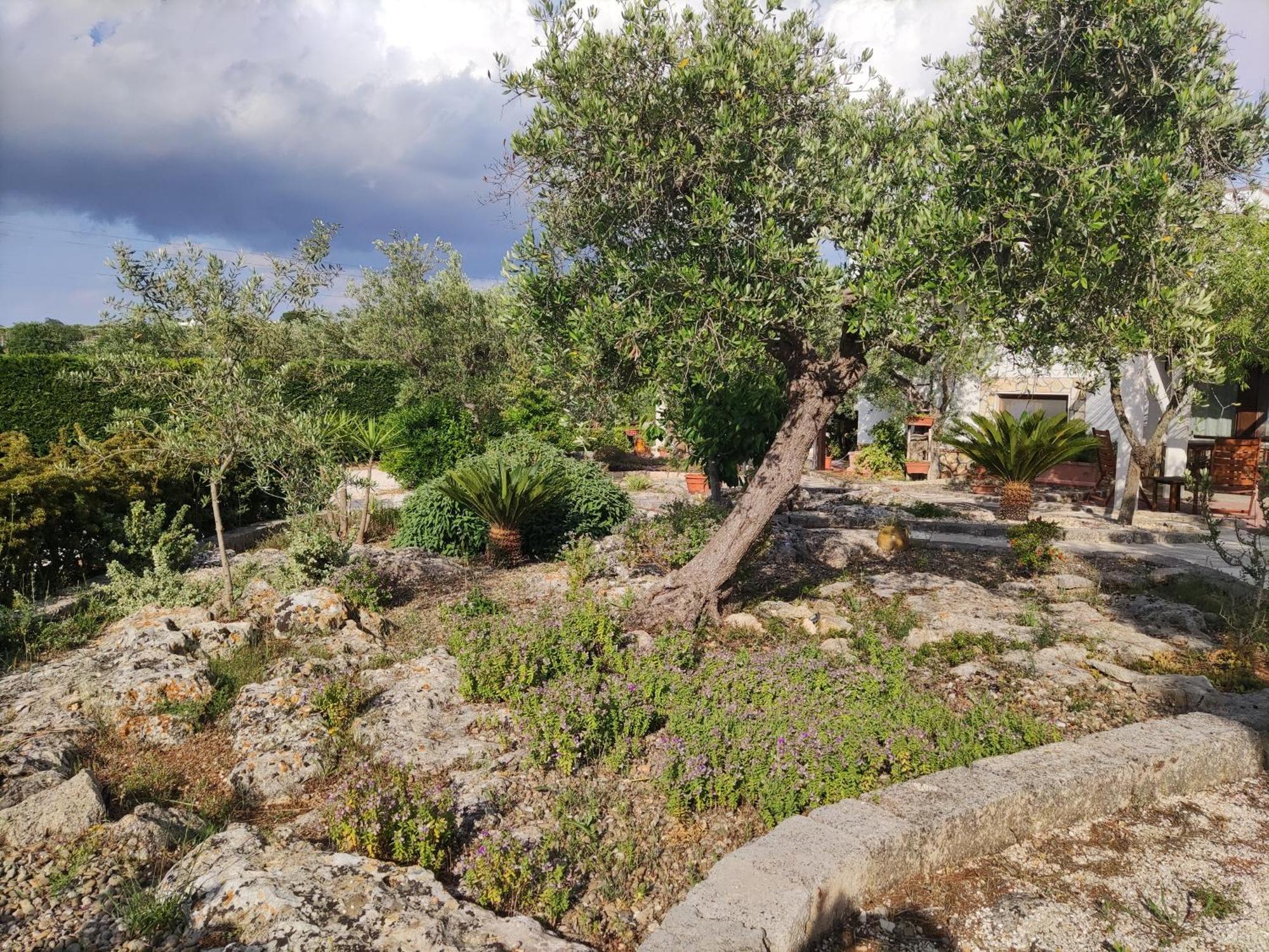 Villa Giulia B&B Castellana Grotte Ngoại thất bức ảnh